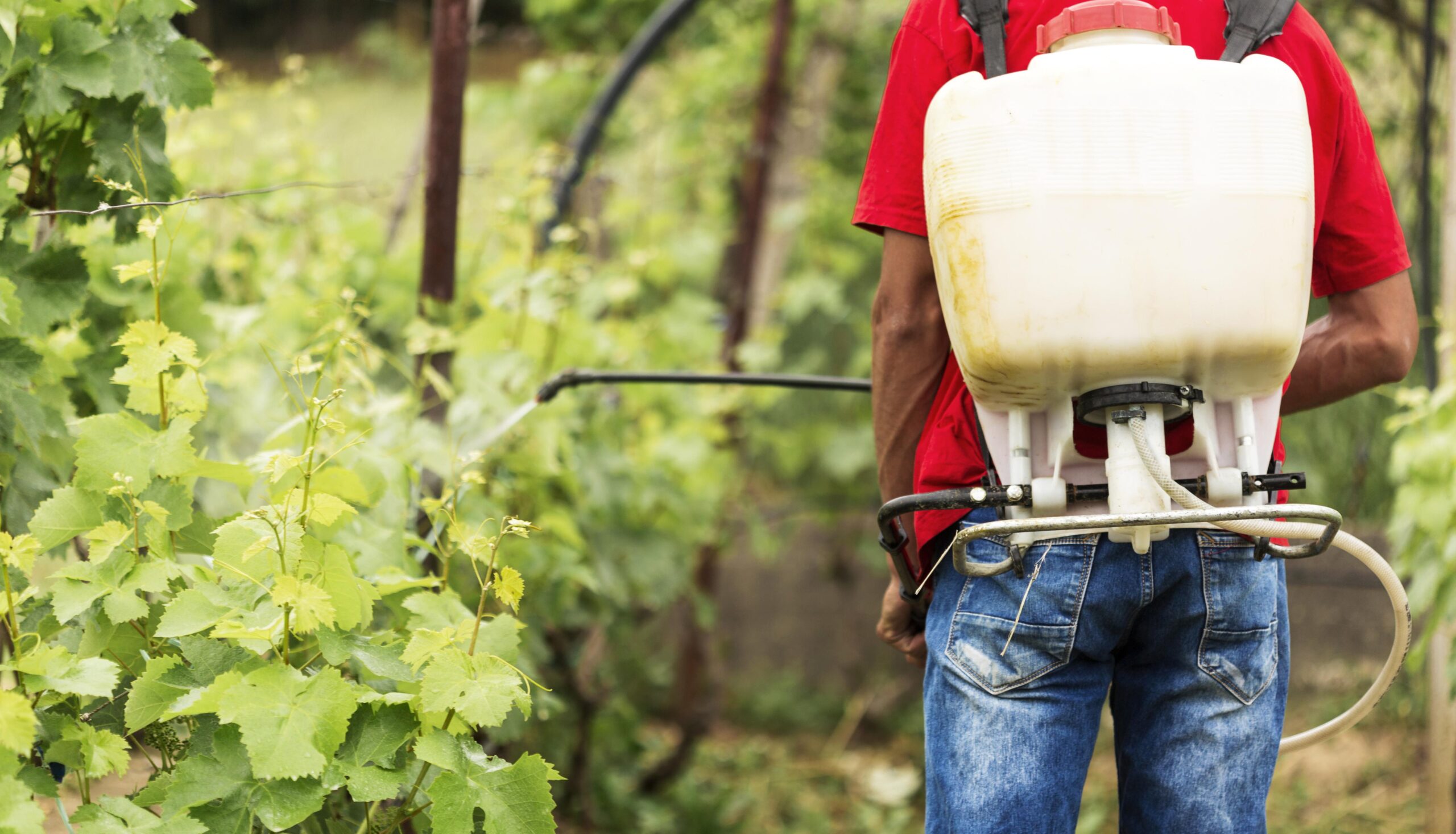 Aplicação de agrotóxicos em lavoura brasileira — rastreabilidade na cadeia produtiva